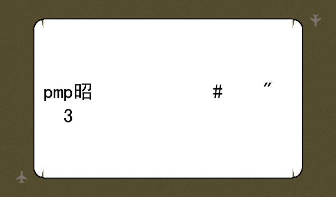 pmp是什么级别职称