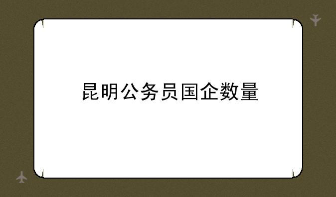 昆明公务员国企数量