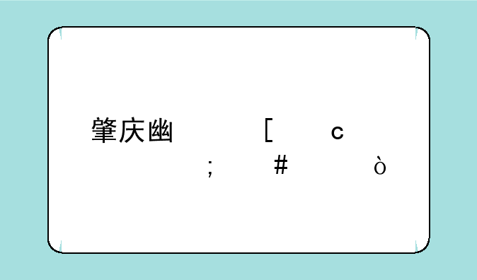 肇庆广外高中部怎么样？