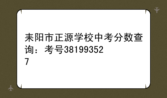 耒阳市正源学校中考分数查询：考号381993527