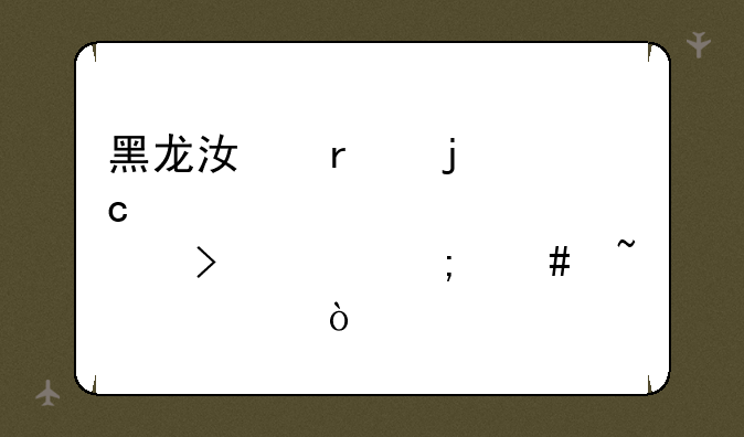 黑龙江省的高考准考证号码怎么查询？