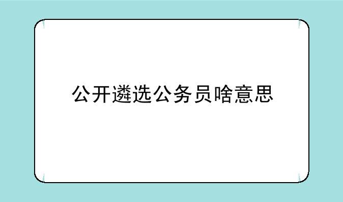 公开遴选公务员啥意思